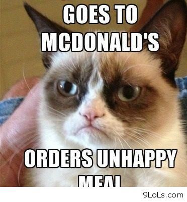 Funny Cats | Top 49 Most Funniest Grumpy Cat Quotes