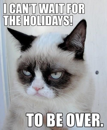 Funny Cats | Top 49 Most Funniest Grumpy Cat Quotes