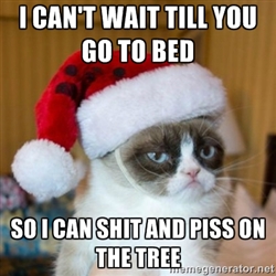 Funny Cats | Top 49 Most Funniest Grumpy Cat Quotes